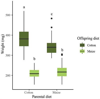 Corrigendum: Plant-Induced Transgenerational Plasticity Affecting Performance but Not Preference in a Polyphagous Moth